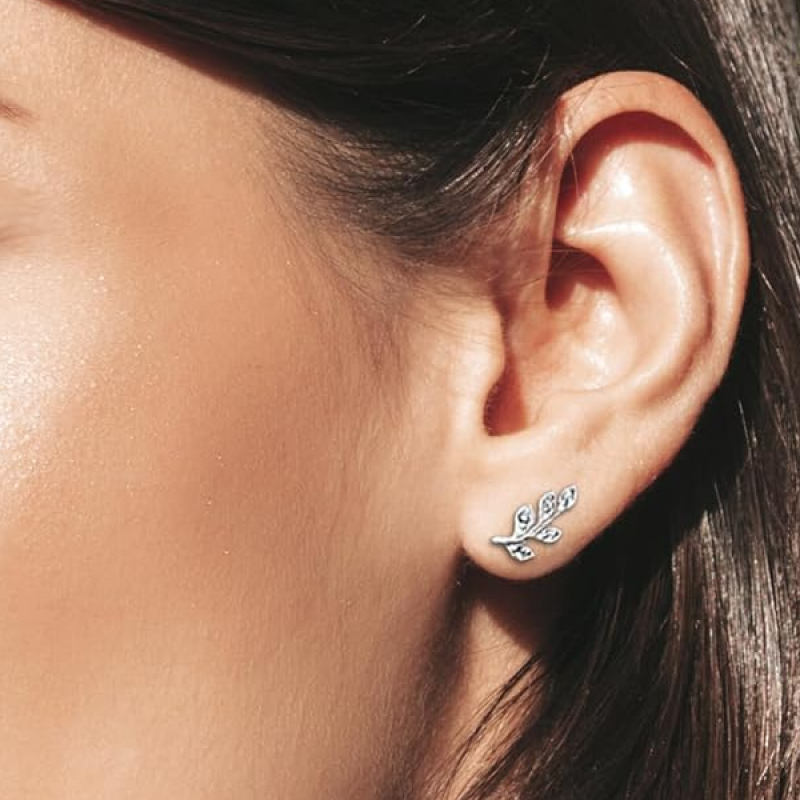 925 Sterling Silver Earrings For Women